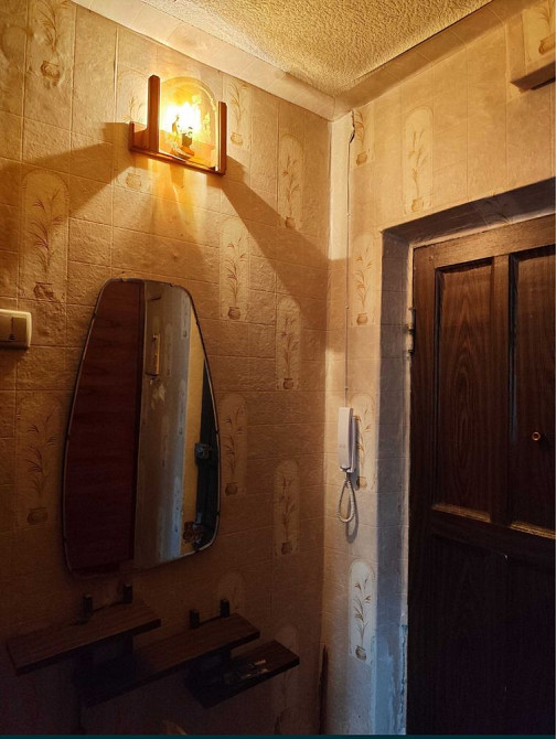 Сдам в аренду  1 ком квартиру  Вознесеновский  р-н Запорожье - изображение 6