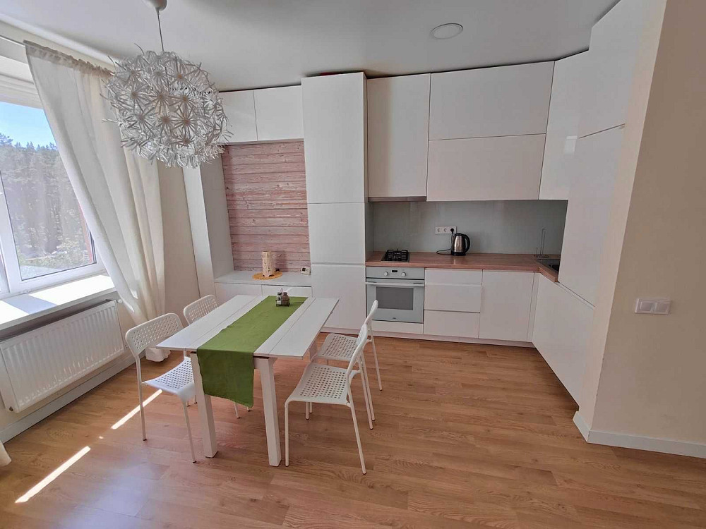 Оренда сучасної 2-к з власним паркомісцем. Центральний парк Ірпеня Ірпінь - зображення 3