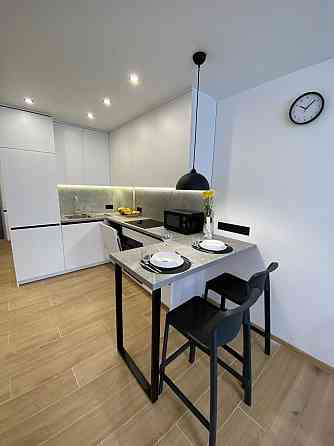 Власник оренда квартири-студії Володимира Великого ЖК Америка Львов