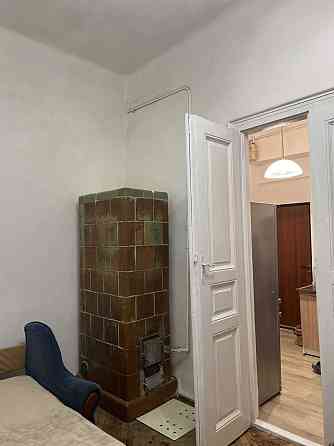 Оренда 1-кімнатної квартири вул. Нечуя-Левицького ближній центр Львова Львов