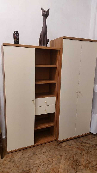 Оренда 1-кімнатної квартири вул. Нечуя-Левицького ближній центр Львова Львов - изображение 3