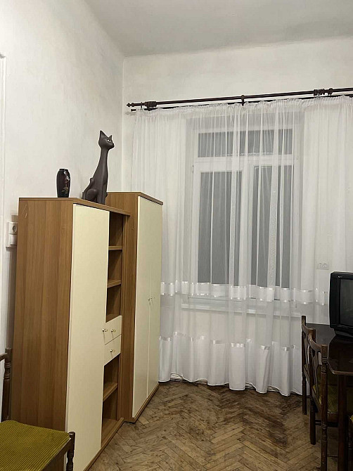 Оренда 1-кімнатної квартири вул. Нечуя-Левицького ближній центр Львова Львов - изображение 2