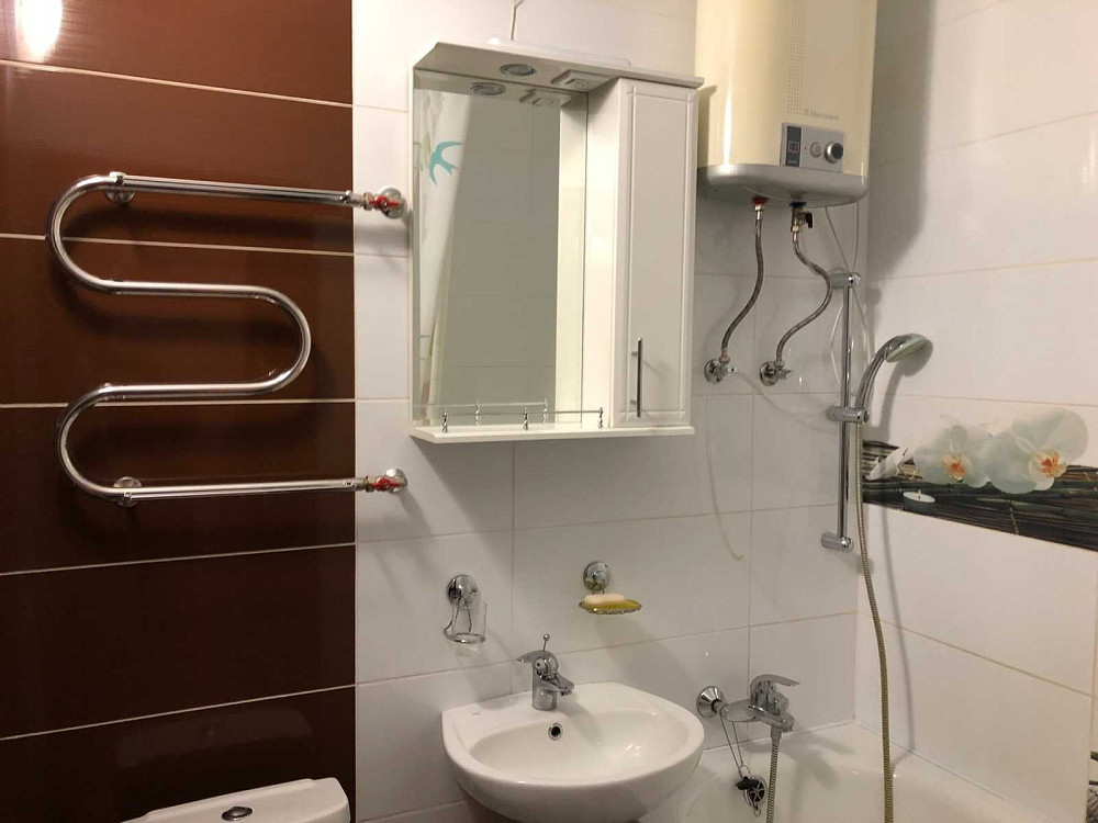 Аренда, 1-к кв., Салютная (Нивки,Сырец) Київ - зображення 6