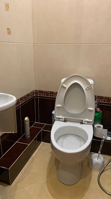 ЖК "Чайка", Лобановського 16, довгострокова оренда Чайки (Киевская обл.) - изображение 7