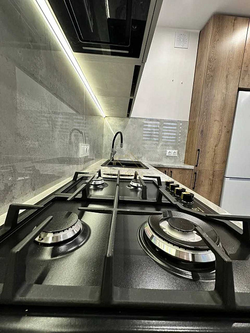 Оренда затишної 1кім квартири кухня студія на 30м2 (диван + ліжко) Угорники - зображення 7