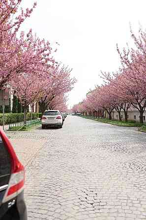Однокімнатна квартира в центрі Мукачева, від забудовника. БЕЗ% Мукачево