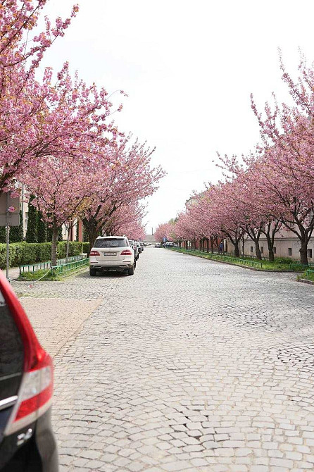 Однокімнатна квартира в центрі Мукачева, від забудовника. БЕЗ% Мукачево - зображення 2