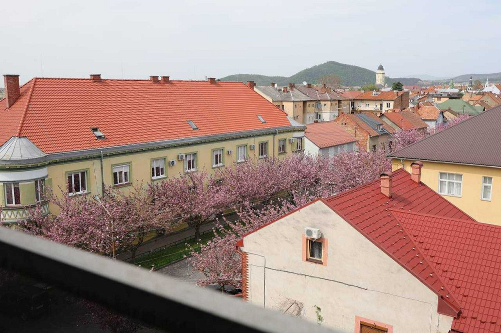 Однокімнатна квартира в центрі Мукачева, від забудовника. БЕЗ% Мукачево - зображення 1