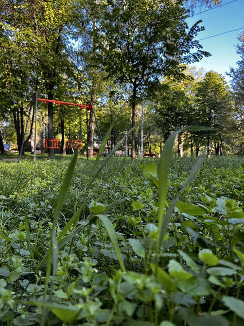 Оренда 1-кімн. Квартири ж/м Заподный Дніпро - зображення 7