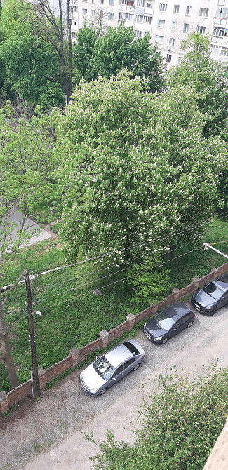 Довгострокова оренда затишної 1-ї квартири. Винница - изображение 1