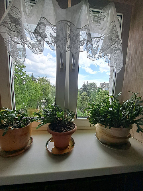 Оренда 1но кімнатної квартири Ивано-Франковск - изображение 7