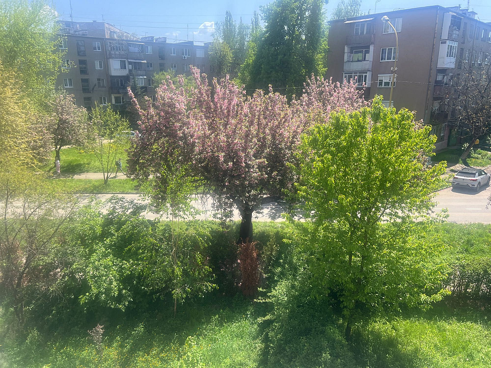 2-к квартира, в. Заньковецької Ужгород - зображення 3