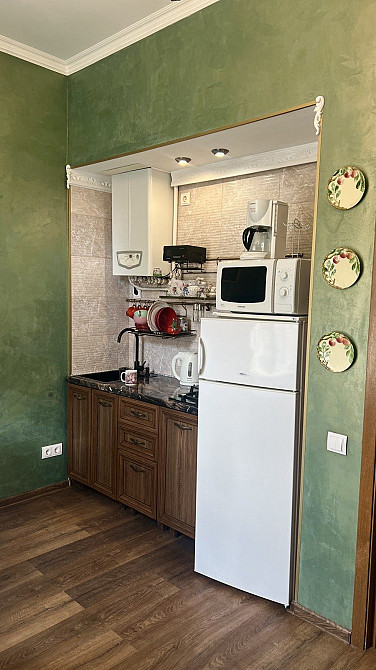 Оренда 1-кімн квартири 55 м кв біля Оперного Театру Львів - зображення 7