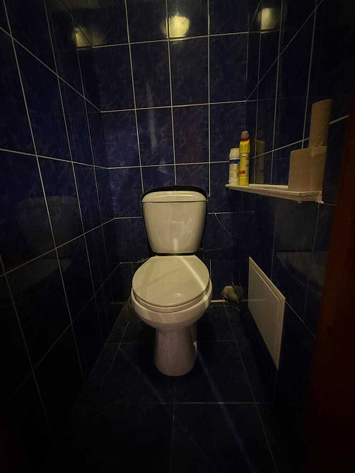 Левада. Оренда 2-ки Полтава - изображение 4