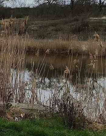 4х комнатная квартира с ремонтом в Сухом Лимане. Прилиманское