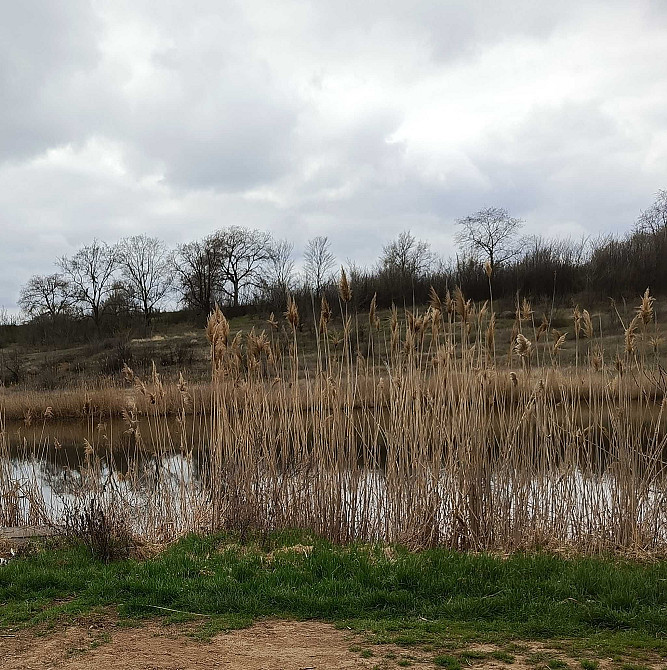 4х комнатная квартира с ремонтом в Сухом Лимане. Прилиманское - изображение 4