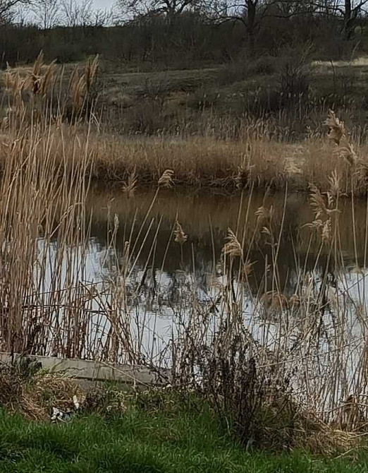 4х комнатная квартира с ремонтом в Сухом Лимане. Прилиманское - изображение 5