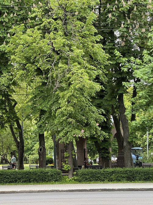 Квартира трикімнатна Київ - зображення 2