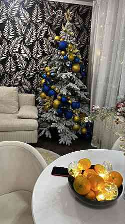 Дворівнева, двоповерхова, двохетажна квартира Софиевская Борщаговка