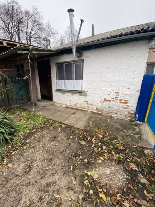 Продам квартиру в одноповерховому будинку Кобеляки - зображення 5