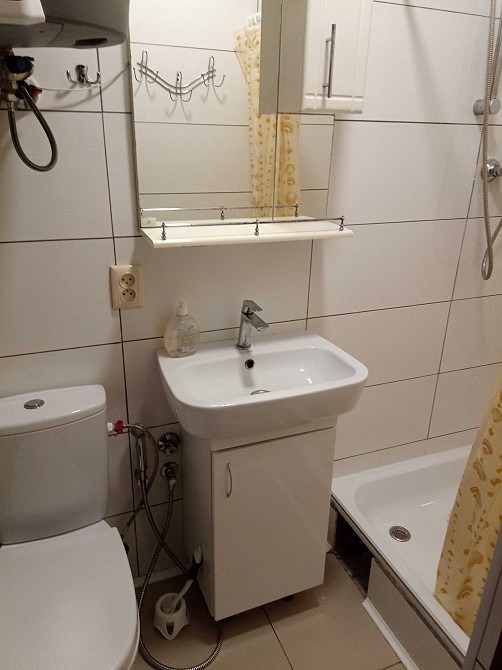 Оренда житла у Царичанці двокімнатна квартира Царичанка - зображення 7