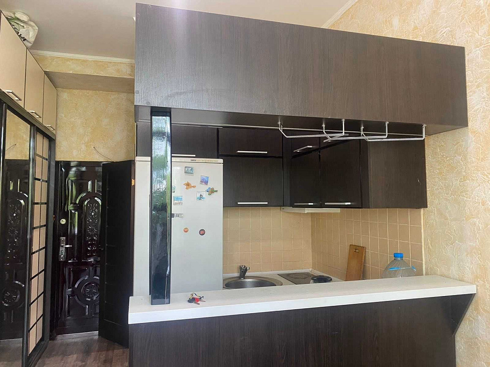 Сдам квартиру-студию,метро Вокзальная (41002) Харьков - изображение 3