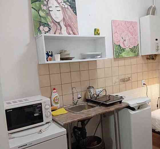 Оренда 1-но кім. квартири по вул. Личаківська (Шевченківський гай) Львов