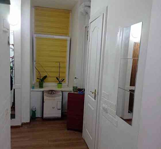 Оренда 1-но кім. квартири по вул. Личаківська (Шевченківський гай) Львов