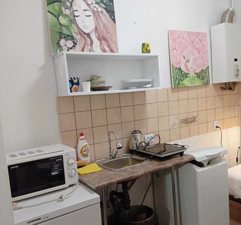 Оренда 1-но кім. квартири по вул. Личаківська (Шевченківський гай) Львів - зображення 2