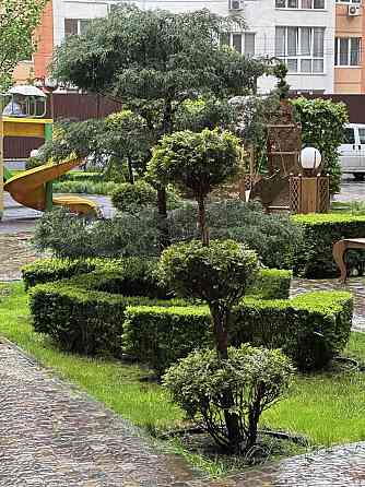 Оренда 1-К квартири ЖК Версаль. Вільна Ірпінь