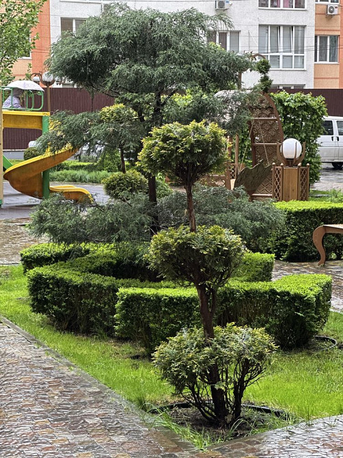 Оренда 1-К квартири ЖК Версаль. Вільна Ирпень - изображение 3