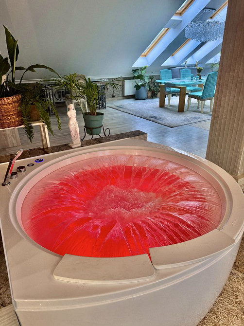 Оренда  ПентХауз 200м . кв  від власника. Сауна, Камін, Джакузі, Терас Львів - зображення 1