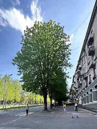 2 кімн АО центр ремонт Каменское (Запорожская обл.)