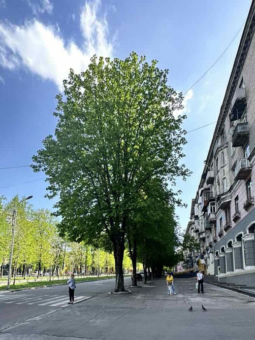 2 кімн АО центр ремонт Каменское (Запорожская обл.) - изображение 4