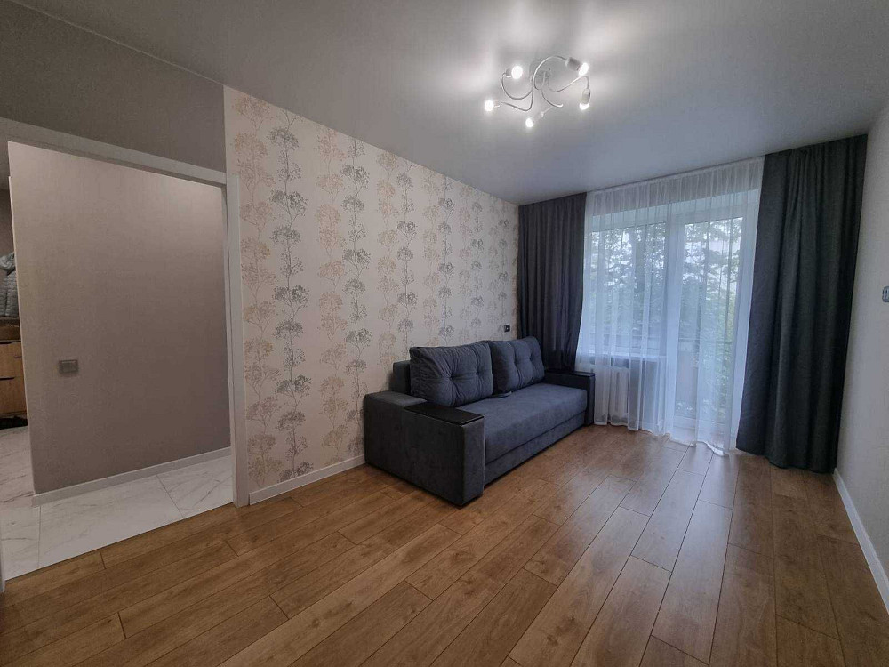 Метро Дарниця, Дніпровський район, 1но кімнатна квартира, з ремонтом Київ - зображення 5