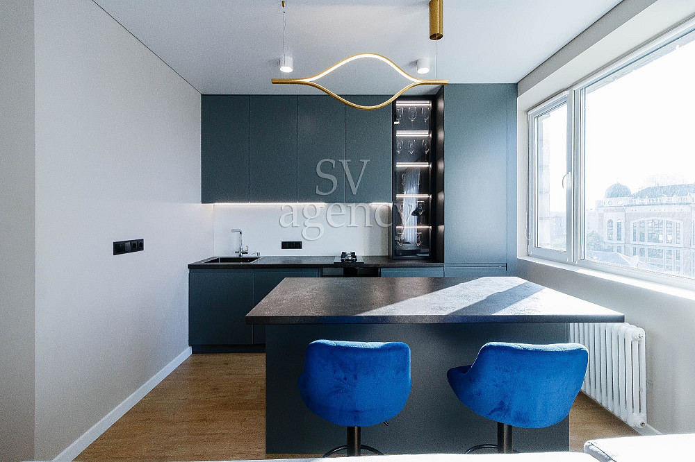 Оренда видової 1к на Печерську 60 кв.м М.Омеляновича-Павленка 19 Київ - зображення 3