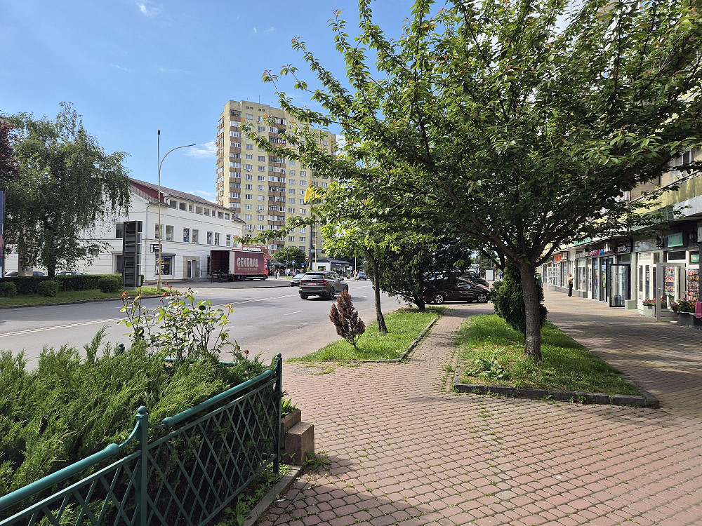 Здається в оренду  кв-ра на Проспекті Свободи біля Фокстпоту Ужгород - зображення 1