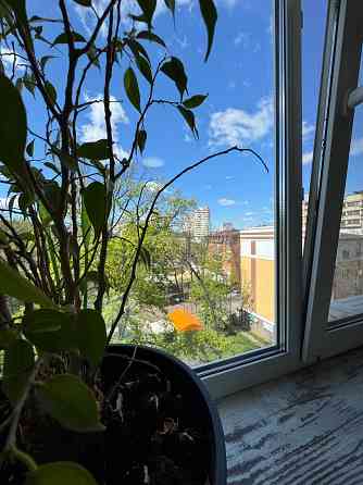 Хороша квартира, поруч парк, Сертифікат так! Ирпень