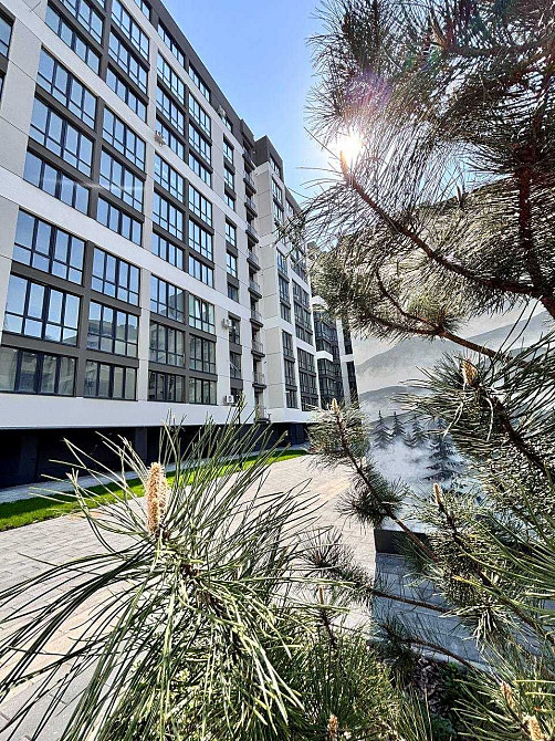 Трикімнатна квартира поруч парку та озера готова до ремонту Івано-Франківськ - зображення 3