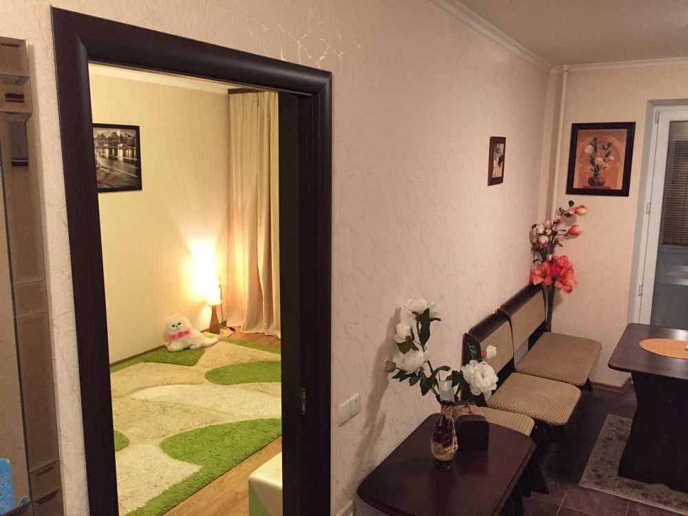 Сдам 1-к.кв На Солнечном ул Малиновского с видом на Днепр. Собственник Днепр - изображение 5