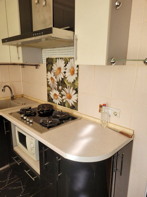 Продаж 1-кімн, лівий берег. Камʼянське. Є-відновлення Кам`янське (Запорізька обл.) - зображення 2