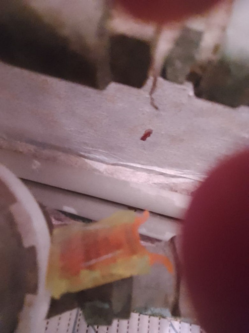 Здається квартира на Василенковому полі,однокімнатна з інд опаленнямен Лубны - изображение 1