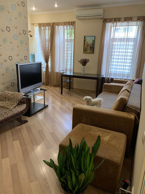 Оренда 2 кім. з кухнею-студіо Скоропадського, Саксаганського, Толстого Киев - изображение 1