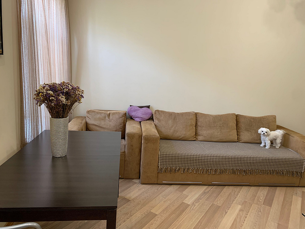 Оренда 2 кім. з кухнею-студіо Скоропадського, Саксаганського, Толстого Киев - изображение 3