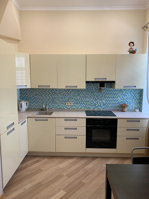 Оренда 2 кім. з кухнею-студіо Скоропадського, Саксаганського, Толстого Киев - изображение 4