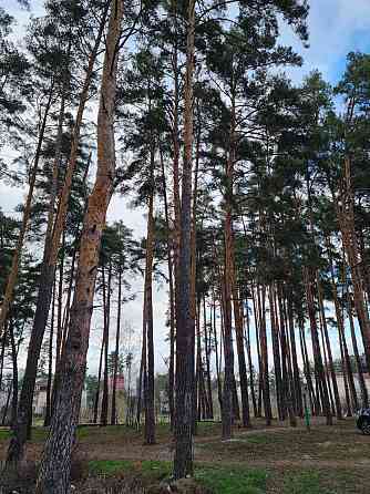 Двокімнатна квартира(евро 3кім) з РЕМОНТОМ у Ірпені! Центральний парк! Ирпень