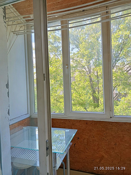 Аренда 2х Сталинка, Сачко Каменское (Запорожская обл.) - изображение 8