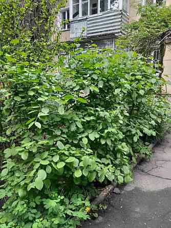 Продам 3-х ком. квартиру на Космонавтов рядом с парком. (135-676) Одеса