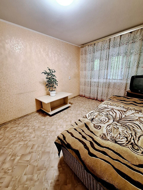 Здам 2к Виставка Хмельницький - зображення 2