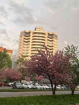 Оренда просторої 1.5 кі-ної біля Токіо Ужгород